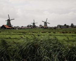 Photo by Anna Hunko on Unsplash The image shows grasslands or agricultural land and windmills in the back.