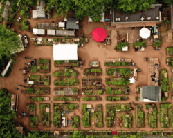Photo of community garden Himmelbeet by Karachoberlin From a bird's eye perspective, the image shows a community garden in the Berlin-Brandenburg city-region.