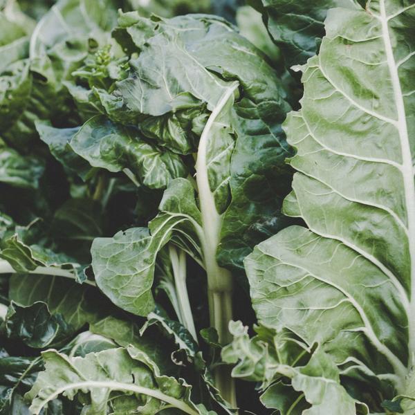 Photo by Gabriela Tamara Cycman on Unsplash The image shows green chard leaves in a close-up shot.